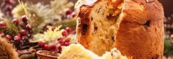 Panettone_800px X 350 px
