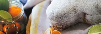 storia della colomba di pasqua